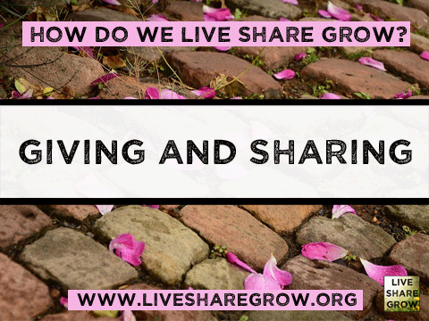 Live Share Grow tweet media