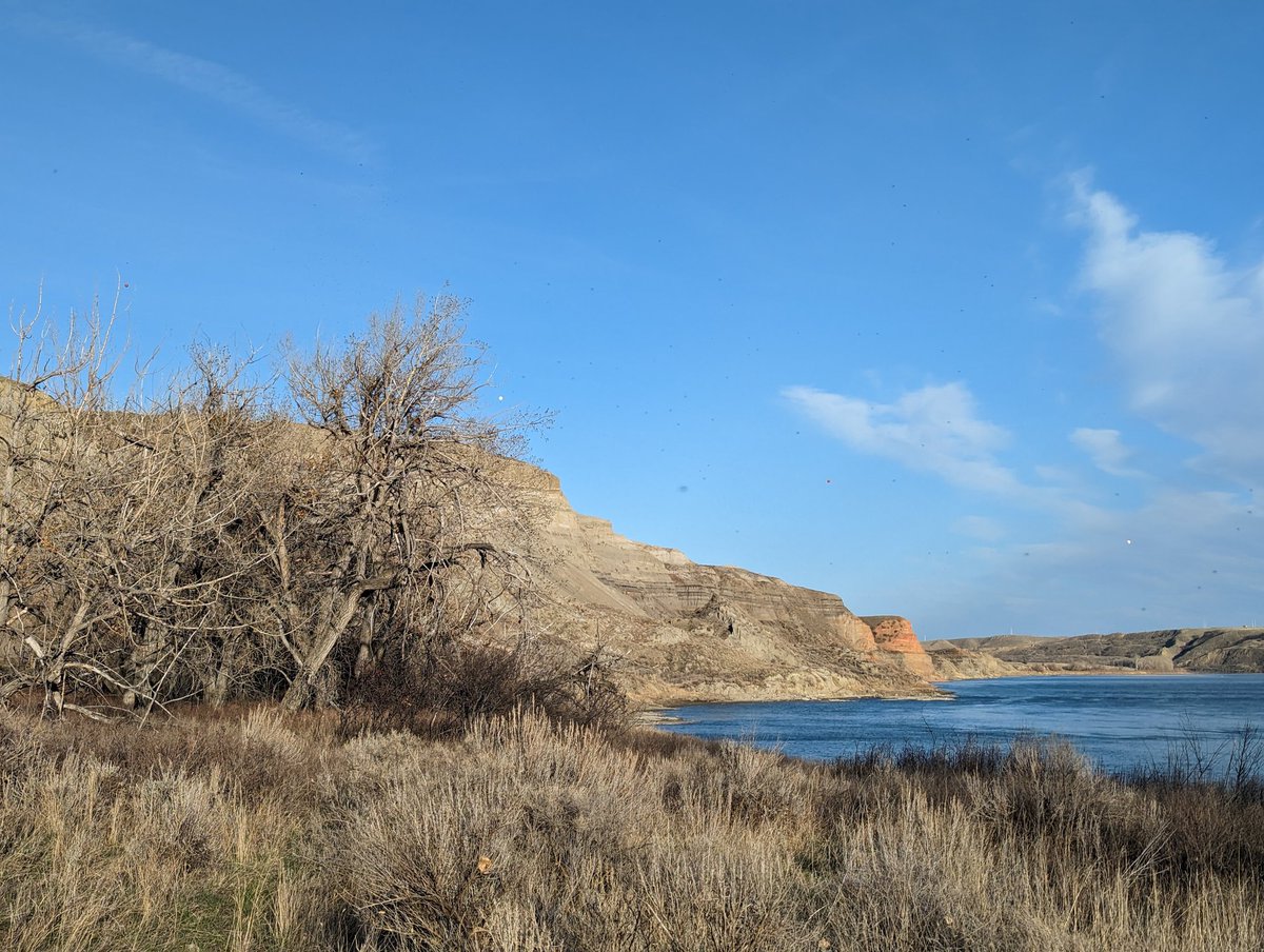 kellyoptra's tweet photo. More than 1000 #1GoodThingToday #OneGoodThingToday grateful I am no longer muscle wasting. pituitary meds - yay! Able to single track w/boys 1 way & take path back. Jen @MedicineHatYMCA living fit is amazing. Now just to watch head pressure/exercise headache. Any suggestions? https://t.co/v6LdgwjCg3