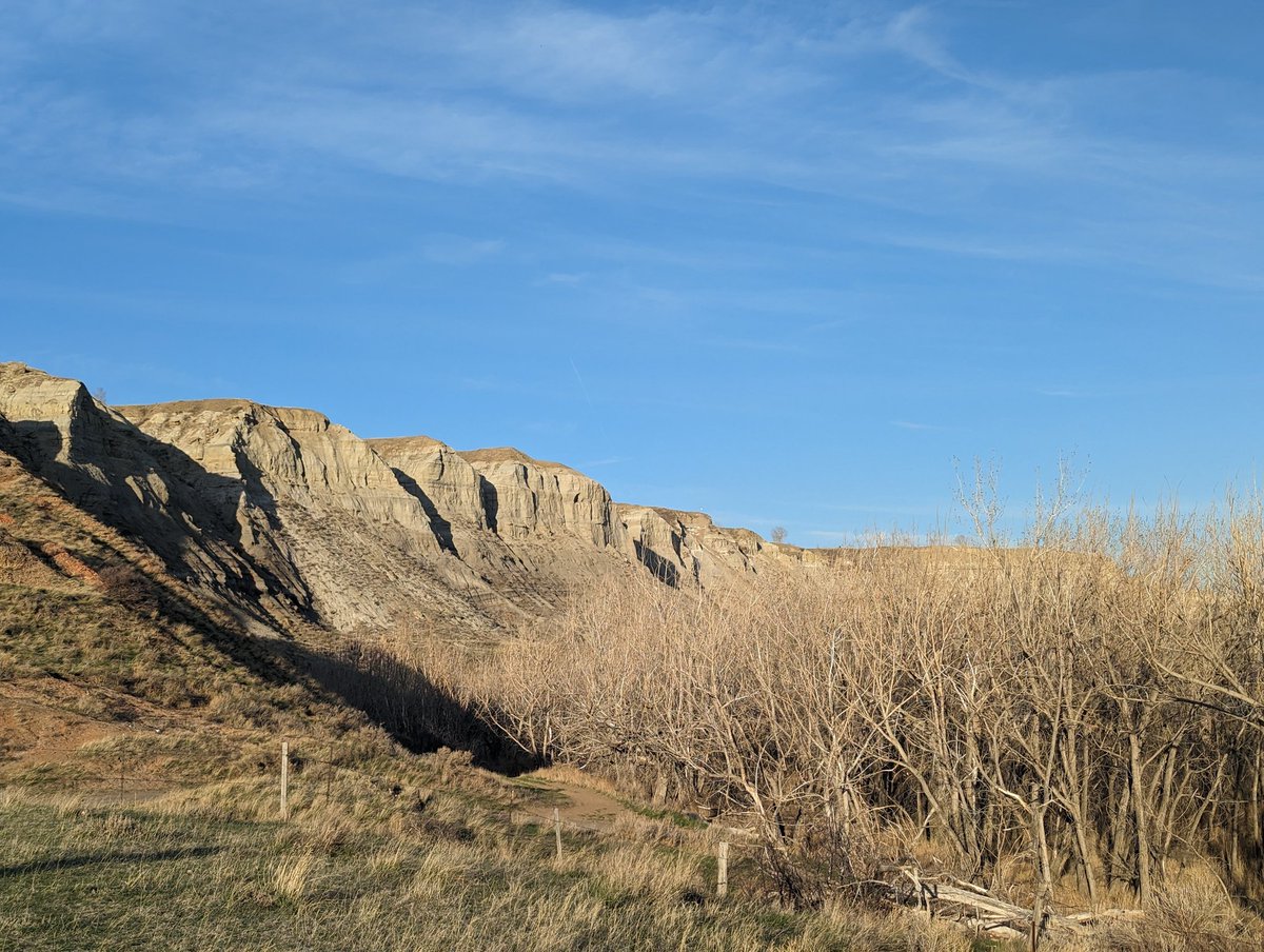 kellyoptra's tweet photo. More than 1000 #1GoodThingToday #OneGoodThingToday grateful I am no longer muscle wasting. pituitary meds - yay! Able to single track w/boys 1 way & take path back. Jen @MedicineHatYMCA living fit is amazing. Now just to watch head pressure/exercise headache. Any suggestions? https://t.co/v6LdgwjCg3