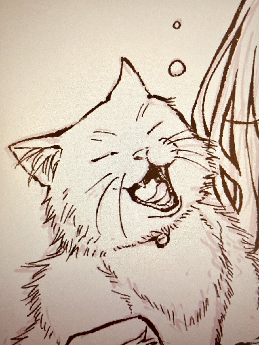 にゃあすZzz‥ᐝ 