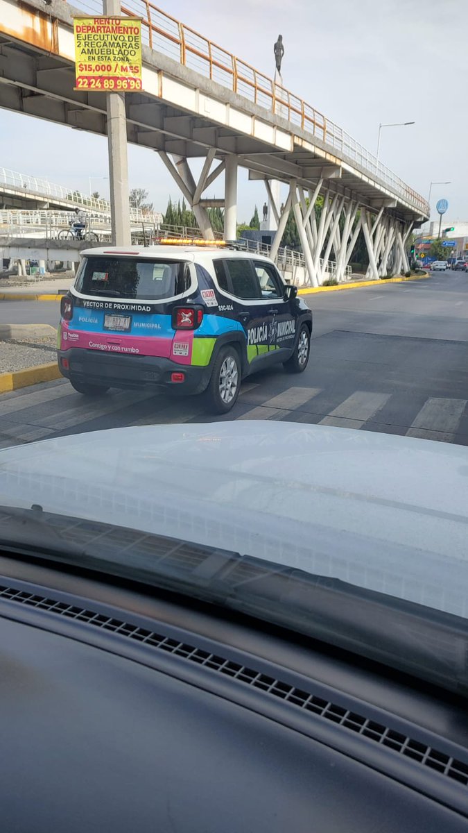 nmaspuebla's tweet photo. 🔴#ReporteNMás  
Piden a los elementos de la @SSC_Pue poner el ejemplo respetando las líneas peatonales. 
Así fue captada esta unidad en el Bulevar Hermanos Serdán.
@dirtransitopue 
Terminación: 1803 https://t.co/obFwjEosLp