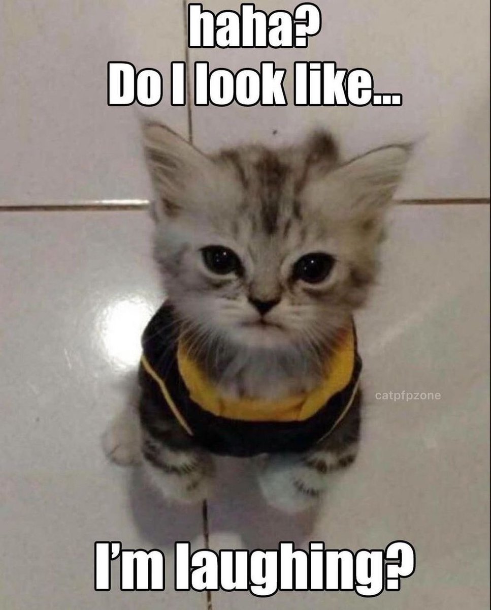 𝐀𝐉‏‏スタイルズ / PARODY (@aerialvirtuoso) on Twitter photo 