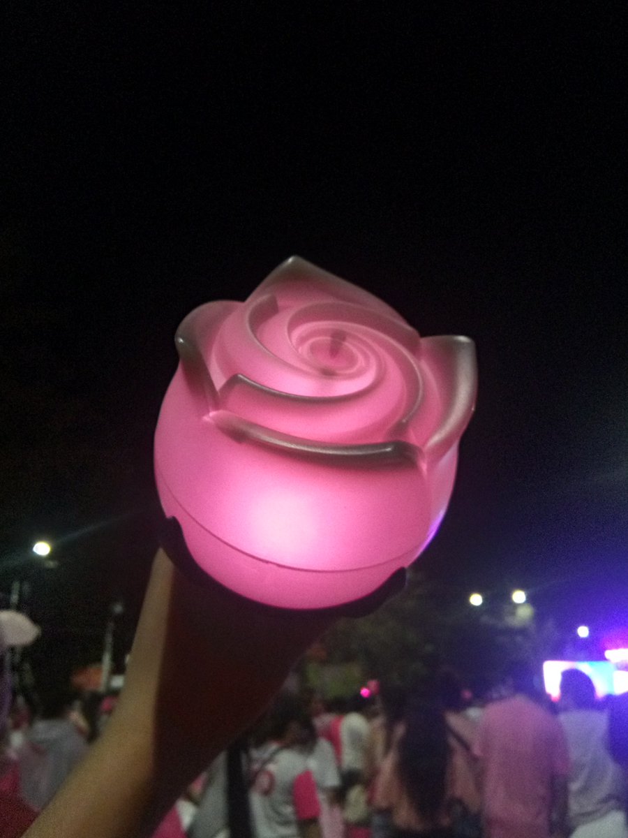 the group: BEAST / B2ST the fandom: Beauty / B2uty the lightstick