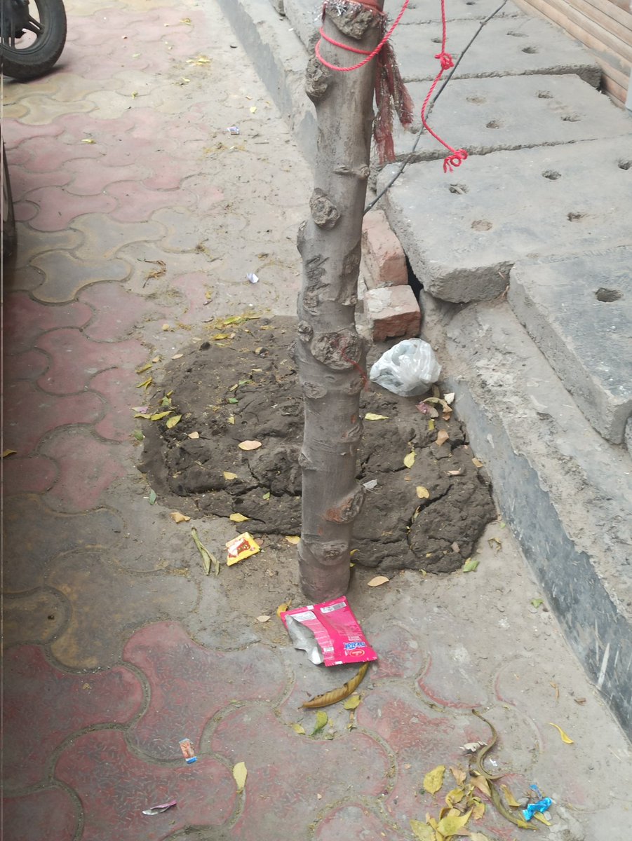 Sh69247619's tweet photo. @CeoNoida @noida_authority नाली साफ कर मलबा वही छोड़ गए कोई उठाने नही आया, गली के सफाई कर्मचारियों को बोला तो मुंह फेर गए,  दुर्गंध, मच्छर फैल रहे है, बीमार हो सकते है, कृपया संज्ञान ले, C-8 Sector 22 Noida https://t.co/40H8RZ3Qpg