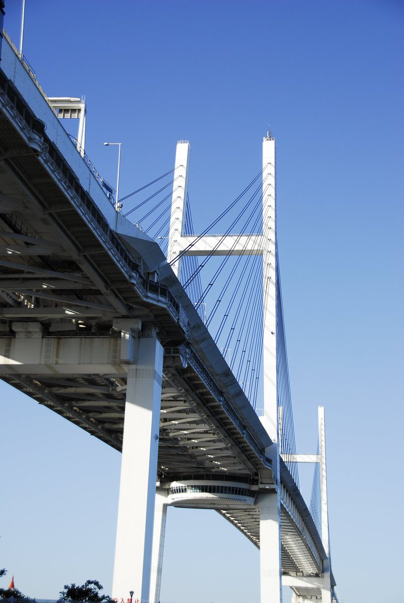 Couichi05S's tweet image. 昨日の夕方の豪華客船2隻停泊中

#豪華客船
#d200 
#ccdsensor