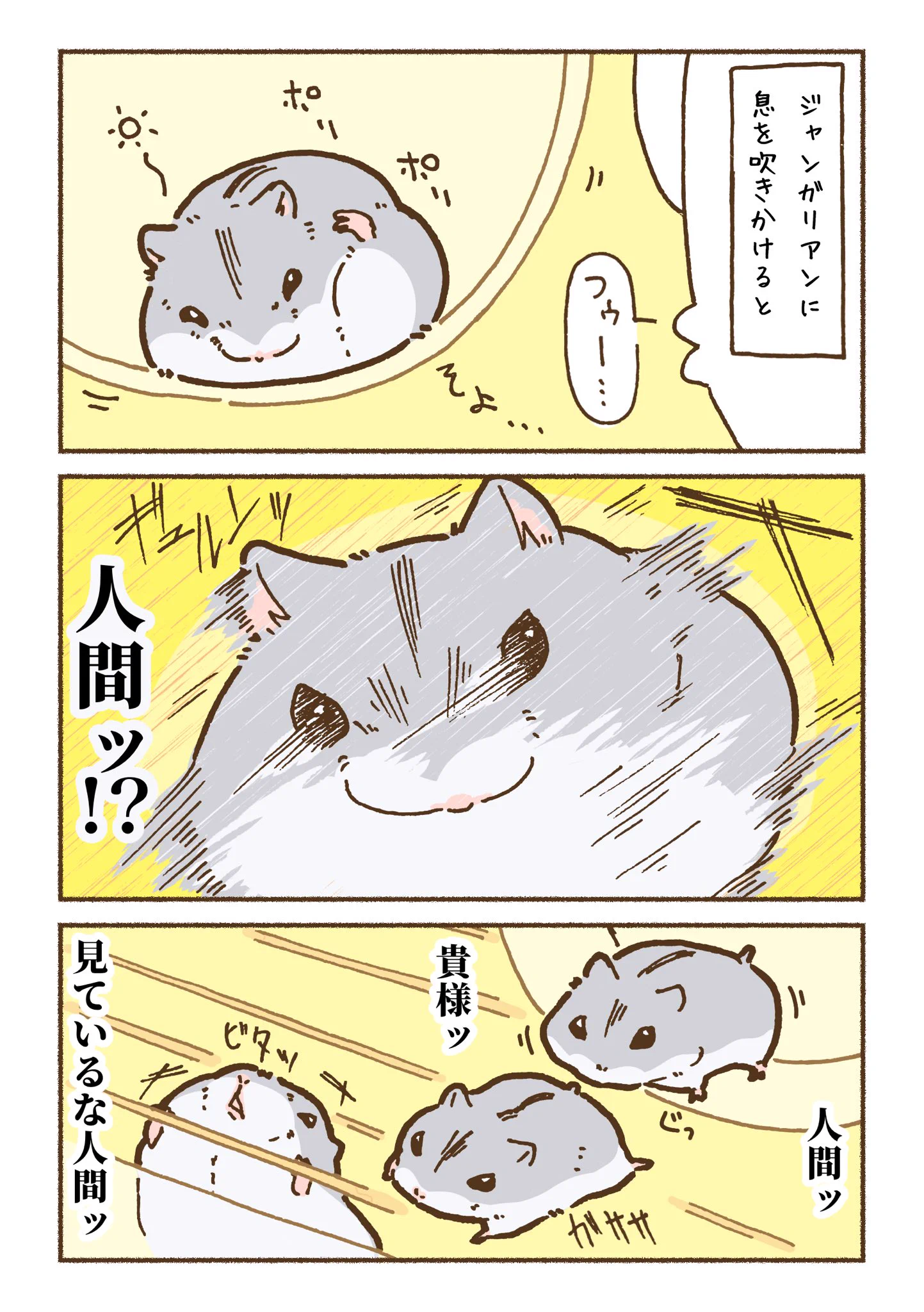 ハムスターに息を吹きかけてみたら･･･！ゴールデンとジャンガリアンとでは反応にこんな違いがある？！