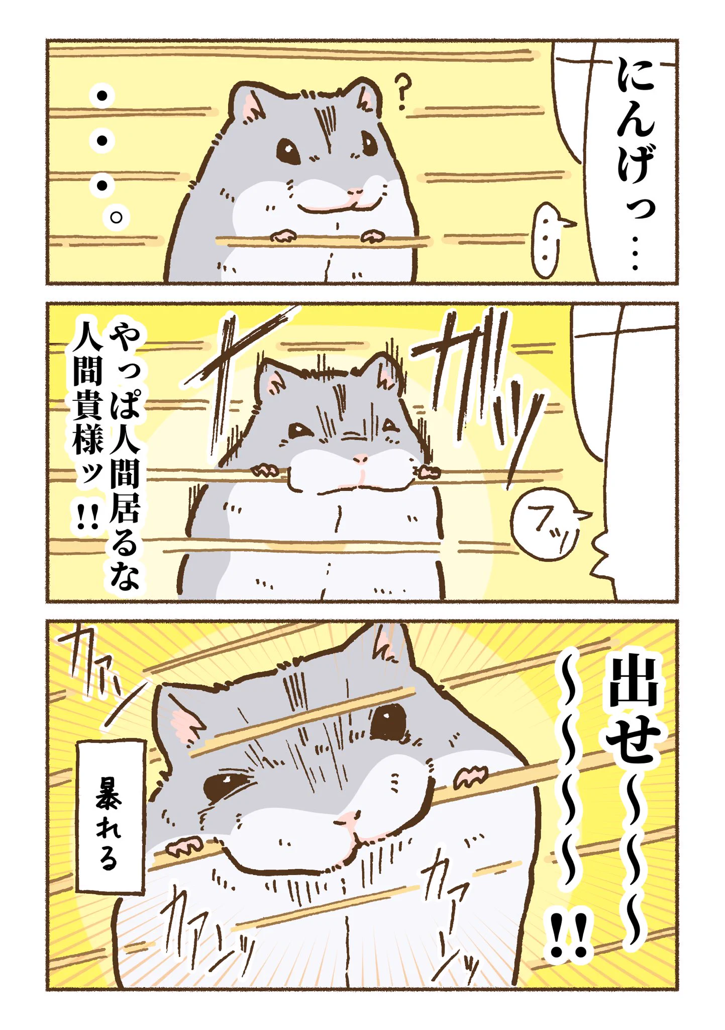 ハムスターに息を吹きかけてみたら･･･！ゴールデンとジャンガリアンとでは反応にこんな違いがある？！