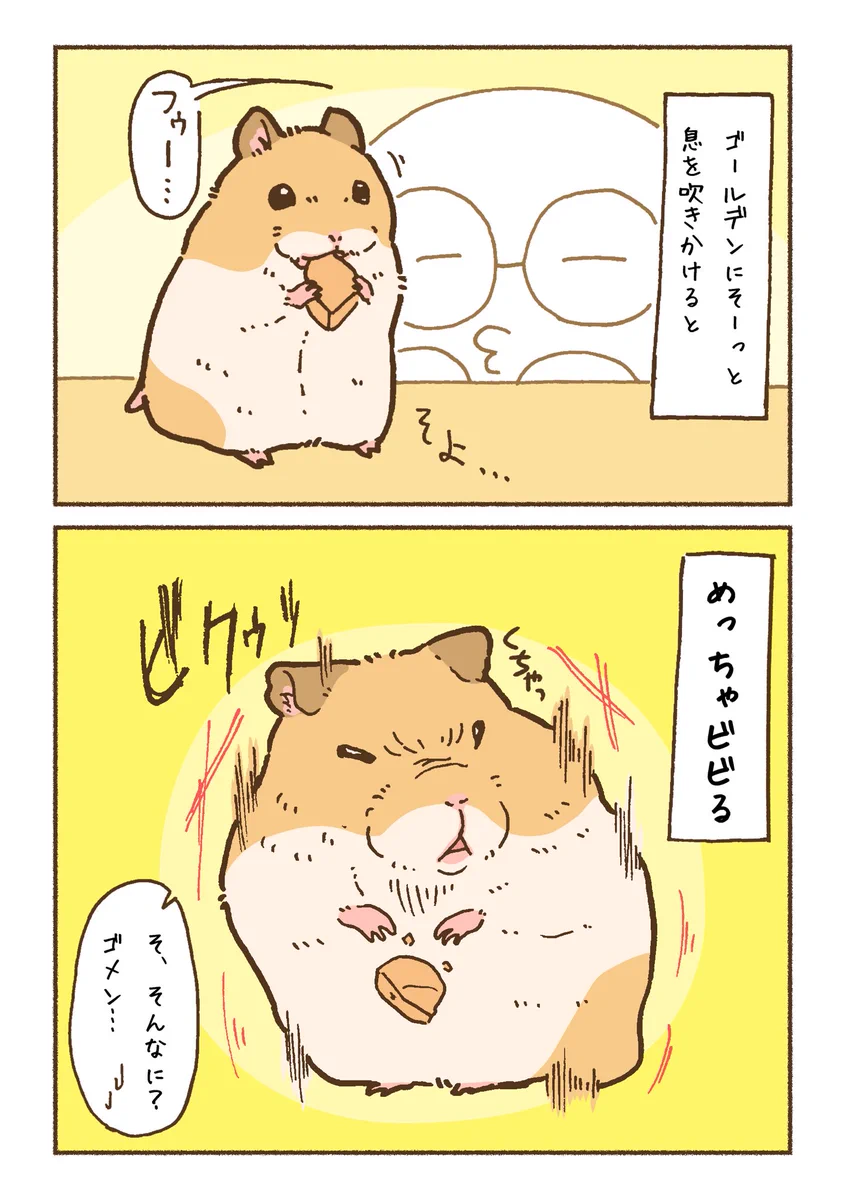 ハムスターに息を吹きかけてみたら･･･！ゴールデンとジャンガリアンとでは反応にこんな違いがある？！