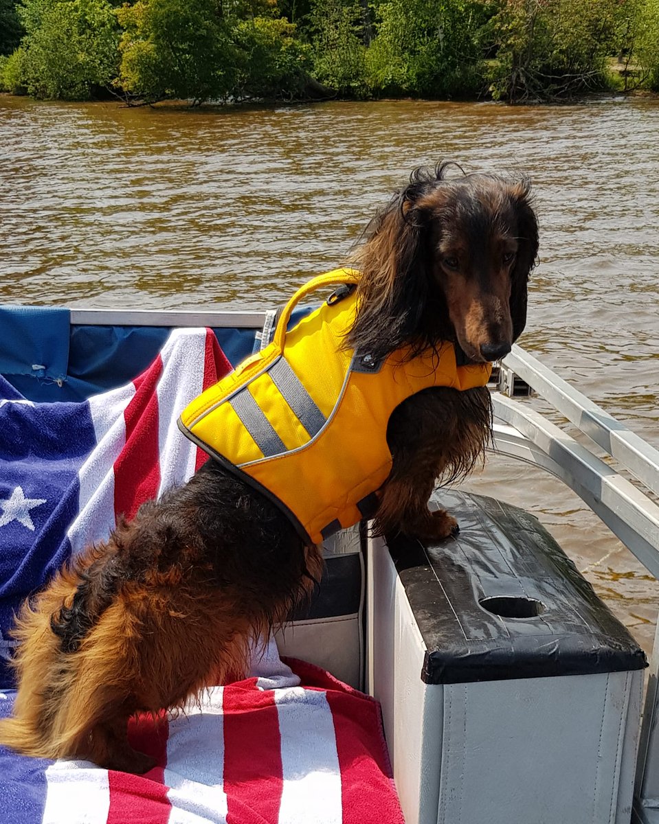 1770Thumper's tweet image. Sending the Hound Luck Card to #MrsAngry from the Upper Peninsula of Michigan. Better days will come.