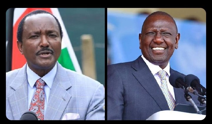 TheKaslim's tweet photo. If @RailaOdinga decides to support Kalonzo Musyoka against Ruto who will you vote for in 2027?

Retweet 🔁 For Kalonzo Musyoka 
Like ❤️ For William Ruto. https://t.co/VoINXGQKUI