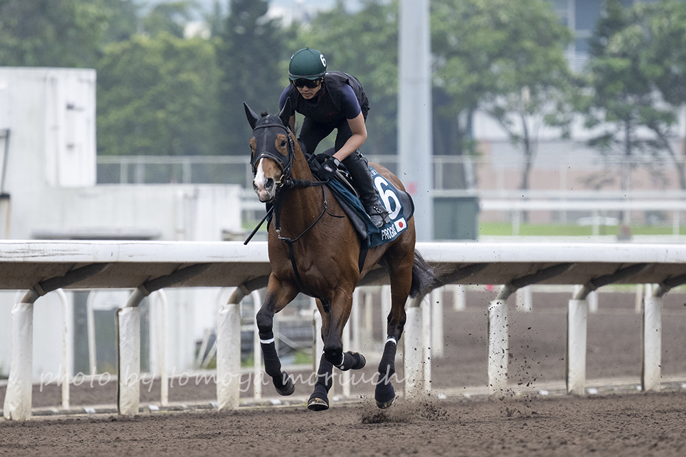 j_taro's tweet image. Prognosis, morning work.  
#FWDChampionsDay 
#HKRacing 
#Prognosis 
#プログノシス