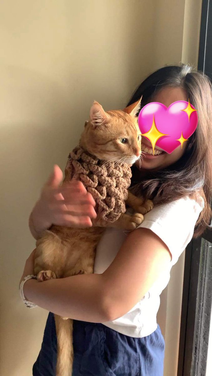 mochistarxz's tweet photo. 🌸 wts lf ph 🌸 

Custom crochet comms!  ◡̈︎  

- dm for custom commissions!
- crocheted pet scarf
- crochet for pets 

# comms crocheted pet clothes pet scarf cats dogs   ◡̈︎ https://t.co/2gOXH77EcF