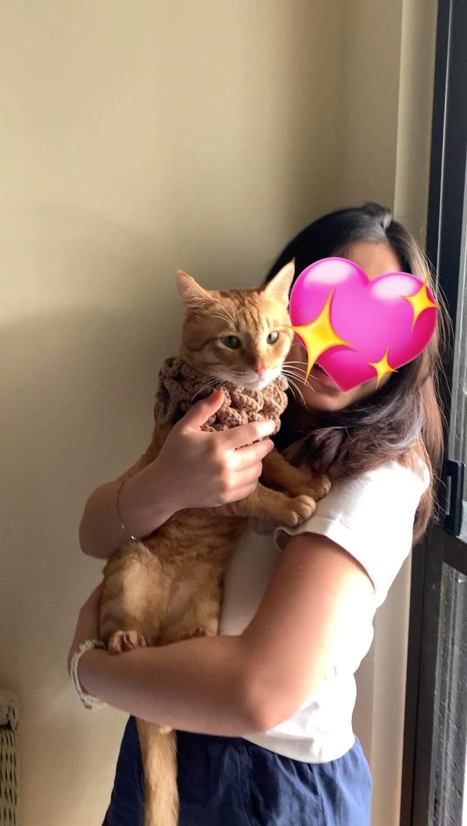 mochistarxz's tweet photo. 🌸 wts lf ph 🌸 

Custom crochet comms!  ◡̈︎  

- dm for custom commissions!
- crocheted pet scarf
- crochet for pets 

# comms crocheted pet clothes pet scarf cats dogs   ◡̈︎ https://t.co/2gOXH77EcF