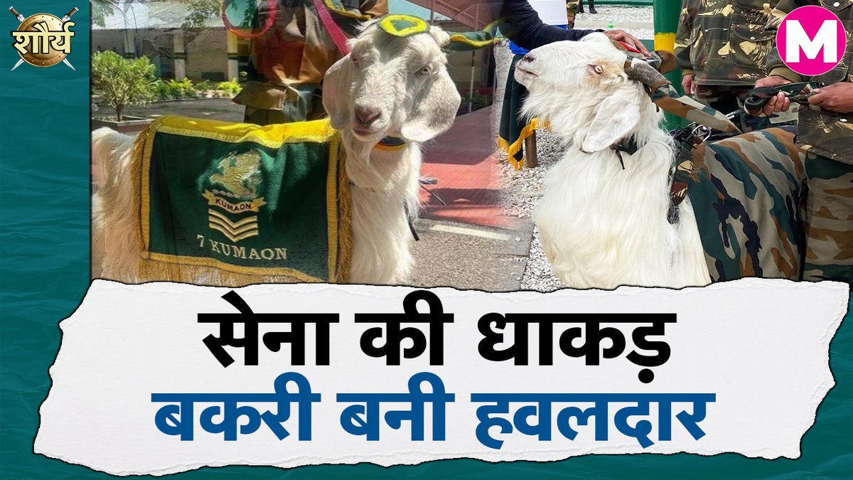 Manchh_Official's tweet photo. भारतीय सेना के 7 कुमाऊं बटालियन में हवलदार बकरी सतवीर की क्या है कहानी, जानने के लिए देखें वीडियो।
#indianarmy #mountaingoat #satvir #havildar
Watch YouTube Video: https://t.co/ebqs2gZf6q
Watch Facebook Video: https://t.co/0d36khzrwZ https://t.co/q9zGrOcu93