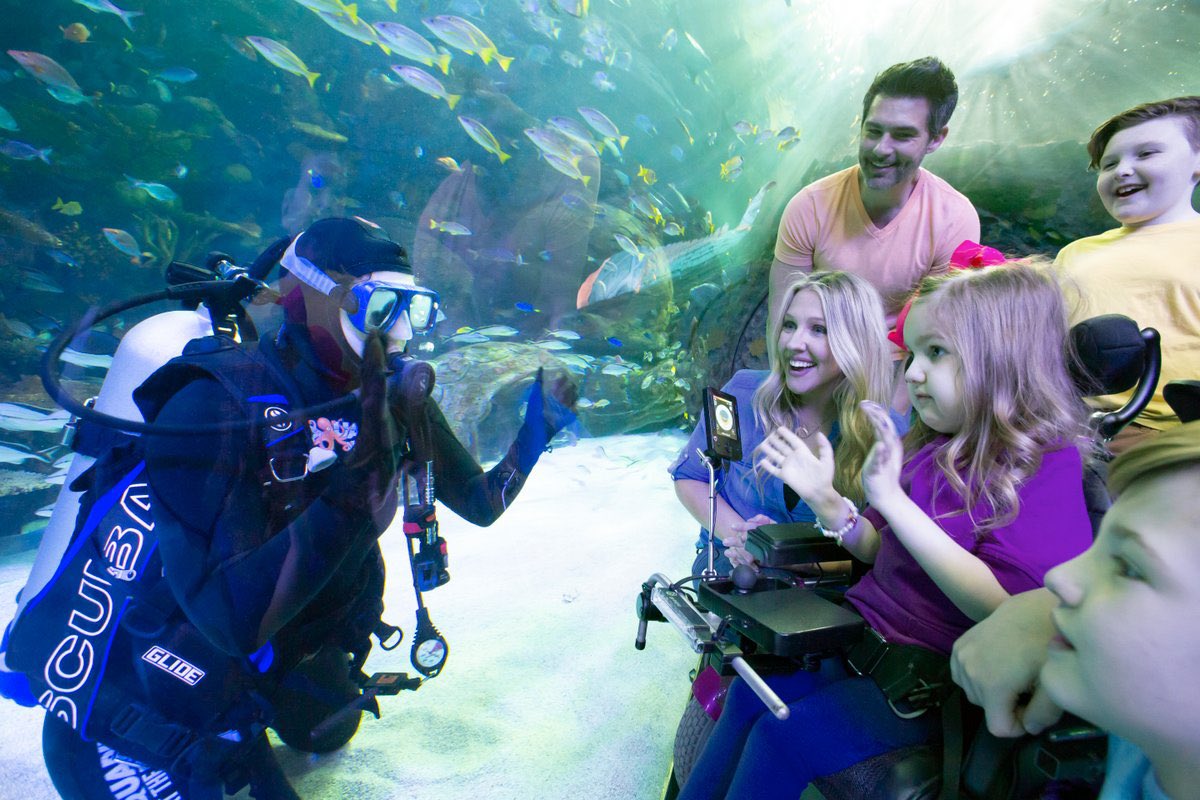 Matthew Enos tweet media