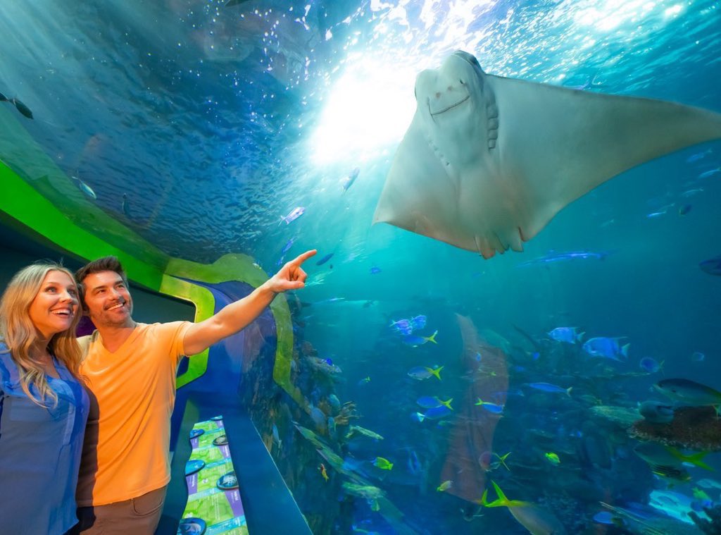 Matthew Enos tweet media