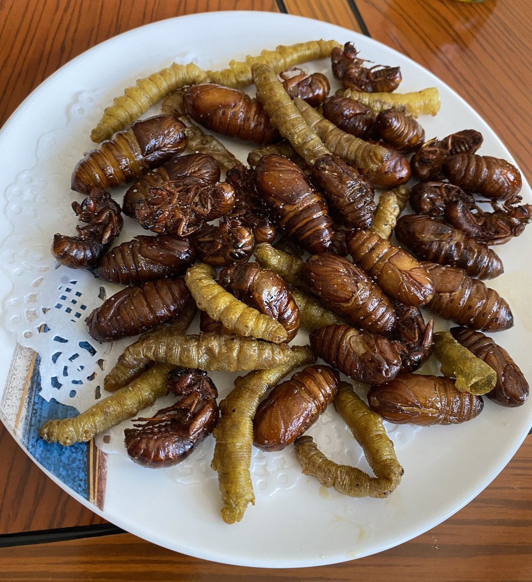 MmchenMao's tweet photo. Insect protein diet, dare or not😂 #insectes #alternative #protein https://t.co/41V66WQuJa