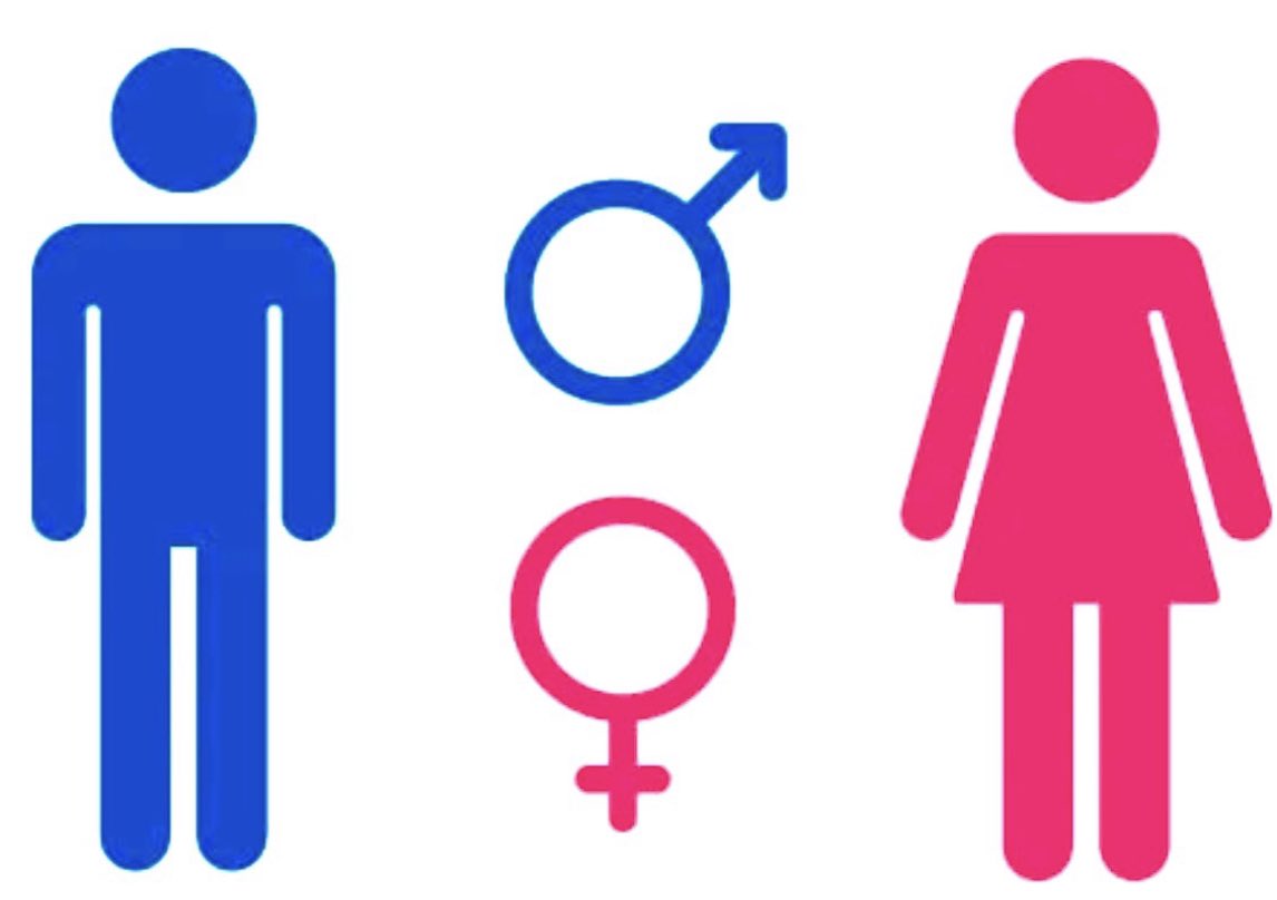 Sólo existen 2 géneros. El femenino y masculino. Lo demás, es tu intimidad y libertad. Ejercela sin avasallar mis Derechos, respetándome al igual que yo lo haré con vos. Igualdad no es supremacía. Es equidad. Vengan de a mil.