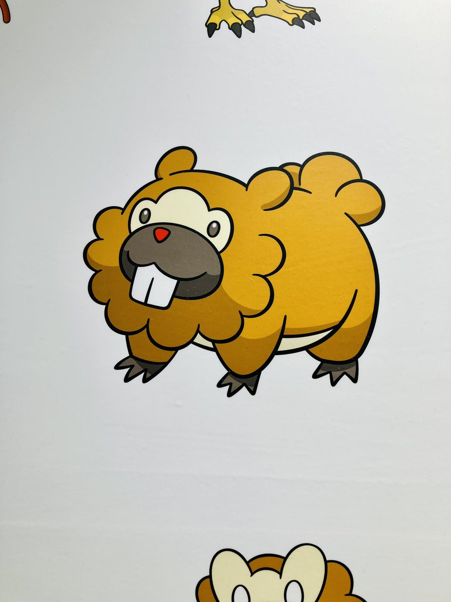「推し撮れた 」|櫻田 円のイラスト