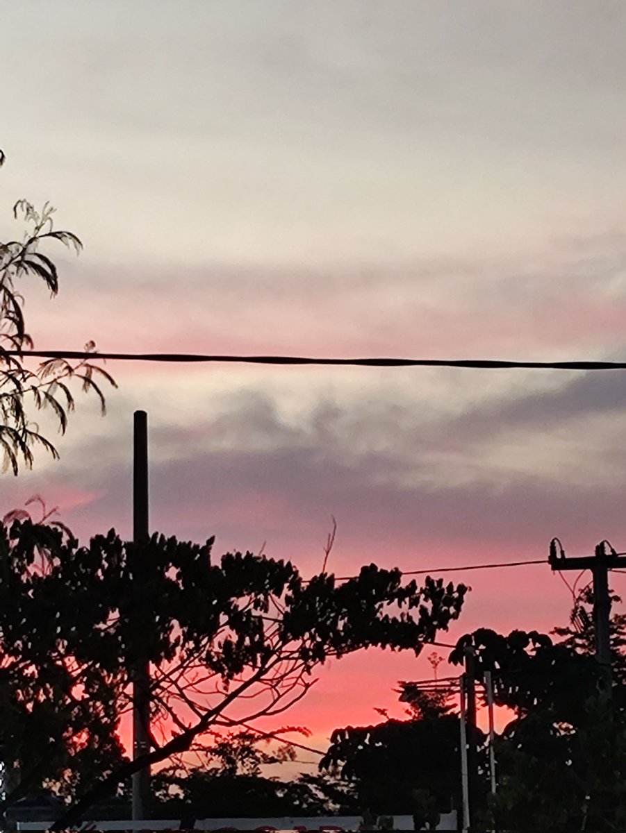 Foxvorism tweet media