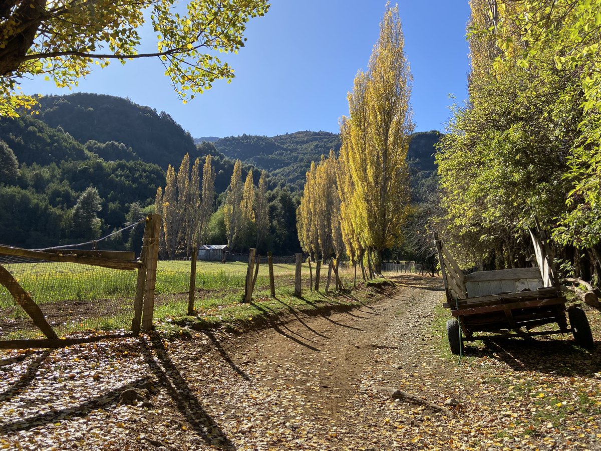 valdivianopcion's tweet photo. #Futaleufu un paisaje pintado por Dios 🧡 Gracias inconmensurables https://t.co/QN0BHzpw7v