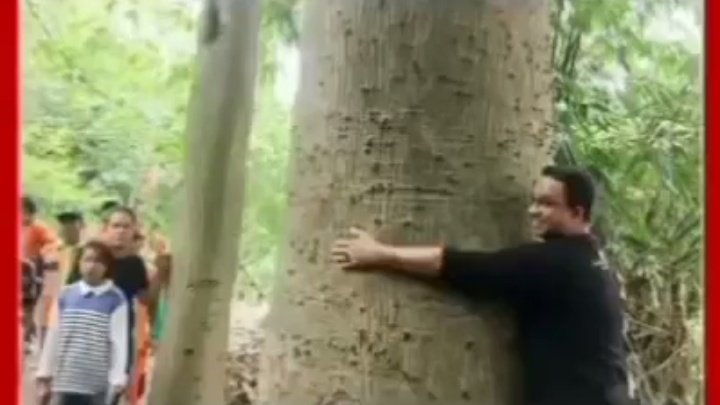 191 pohon mahoni sebesar pesawat jet Turbo. Bisa hilang &amp; tdk ada satupun yg tau keberadaannya smpe skrg?!

ini adalah : salah satu kesaktian gubernur 212.