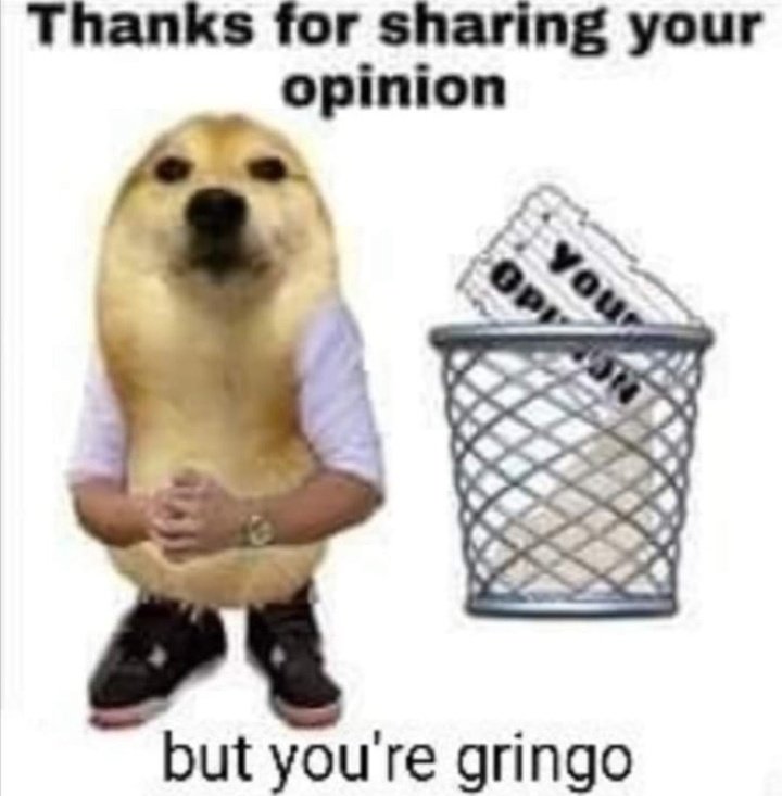 lyzzckity's tweet photo. os gringos sem sal querendo cancelar o cellbit, amores vocês literalmente não tem noção alguma de com qual país vocês tão mexendo né? https://t.co/aGNjBwbuoz
