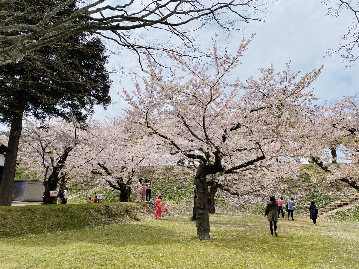 お昼ご飯に回転寿司堪能して
五稜郭でギリギリ桜見てきた〜 