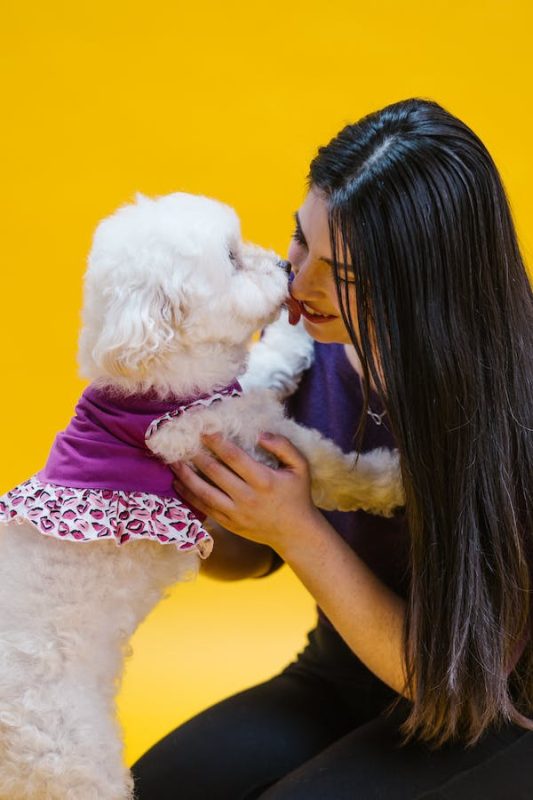 PawstyleO's tweet photo. Getting to Know Bad Breath Products for Dogs
If you think you are the only one suffering from bad breath, you may want to think again. Although bad breath is a condition common to humans, your canine may also have the same fate. #Dog #DogToys

https://t.co/rK91GLO999 https://t.co/IwwOkckP1U