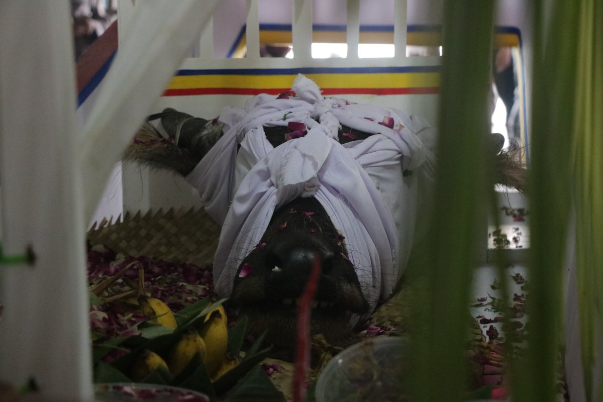 jeparakabgoid's tweet photo. Lomban Ungkapan Rasa Syukur atas Berkah Hasil Laut

Kemeriahan bernuansa budaya warnai Kabupaten Jepara sepekan setelah Idulfitri, Sabtu (29/4/2023) pagi. Yaitu, tradisi Pesta Lomban. Sebuah ritual wujud syukur atas berkah hasil laut.

(sebuah utas) https://t.co/SFmRpvR7BL
