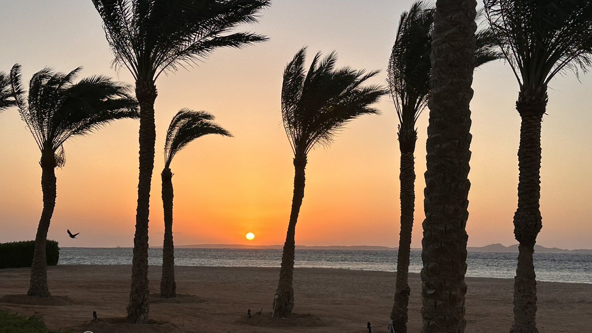MarcelleTauber's tweet image. Sunrise running is rather lovely here. Today&apos;s challenge was the wind.
#RunningGang #ExerciseTherapy
#ImperialActive 
@K_G_Spearpoint @ThomasKearns12 @Marie_Batey @tharry @caspertown42 @CalvinMoorley @shiv_smith @NursesMidwives