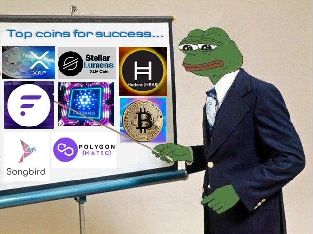 #PEPE is giving free crypto training on "What to buy when your shitcoin rugs".  This frog is an absolute legend 🏆

$XRP
$XLM
$HBAR
$FLR
$ADA
#BTC
$SGB
$MATIC