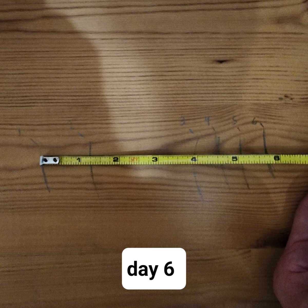 urstraighteight's tweet photo. Day 6 progress. My faces keep getting better  P

#stretching #flexibility #splits #splitsprogress #splitsjourney #splitschallenge #yogaeverydamnday #yogalife #yogainspiration #yogaeverywhere #yogalove #yogapractice #yogachallenge #yogajourney #fitnessmotivation #fitlife #fitfam https://t.co/W7O9K48pv0