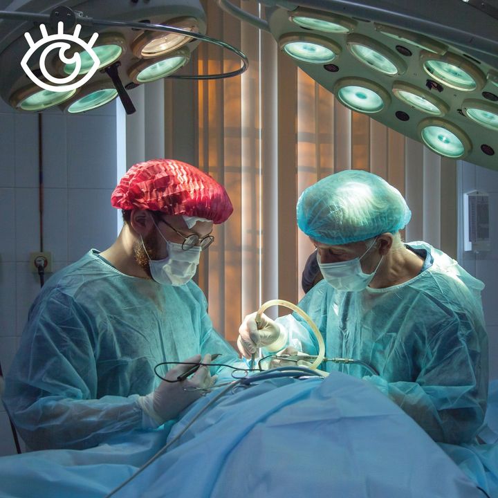 VisionforWA's tweet photo. Optometrists in Washington State are using SSB 5389 to try and legislate their ability to perform eye surgery without completing medical school or ophthalmology residency. Yes, you read that right. Tell Governor Inslee to VETO SSB 5389: https://t.co/zjYrU7DM4i https://t.co/y00ViHF7Db