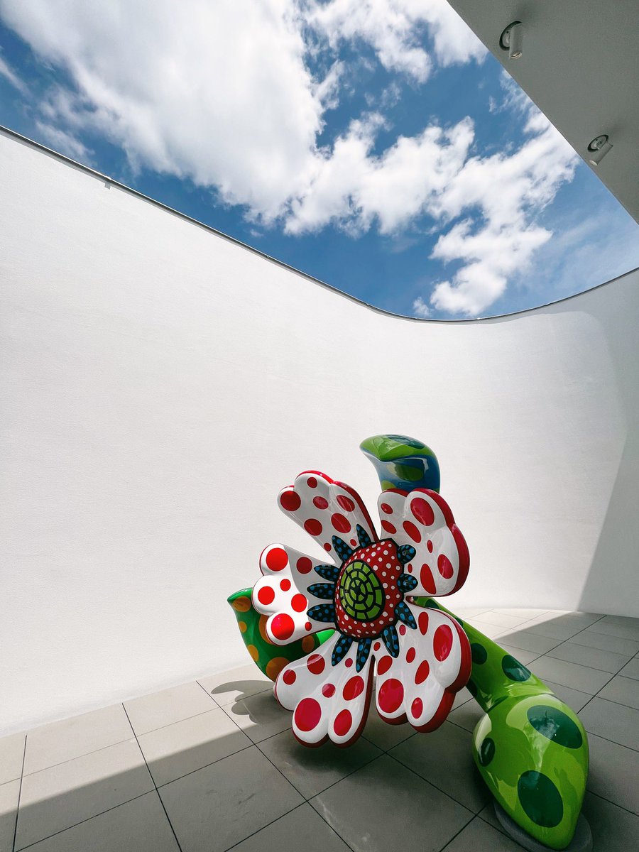 dearnatashakhan's tweet photo. yayoi kusama x tokyo 🌀 https://t.co/wVZJKgClgR