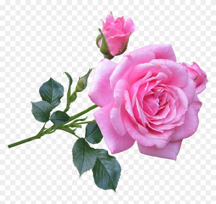 JannatNeba's tweet photo. @SexyManager99x https://t.co/XWBhV7ZAfC