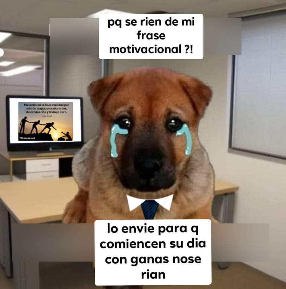 Mappi 🤙 tweet media