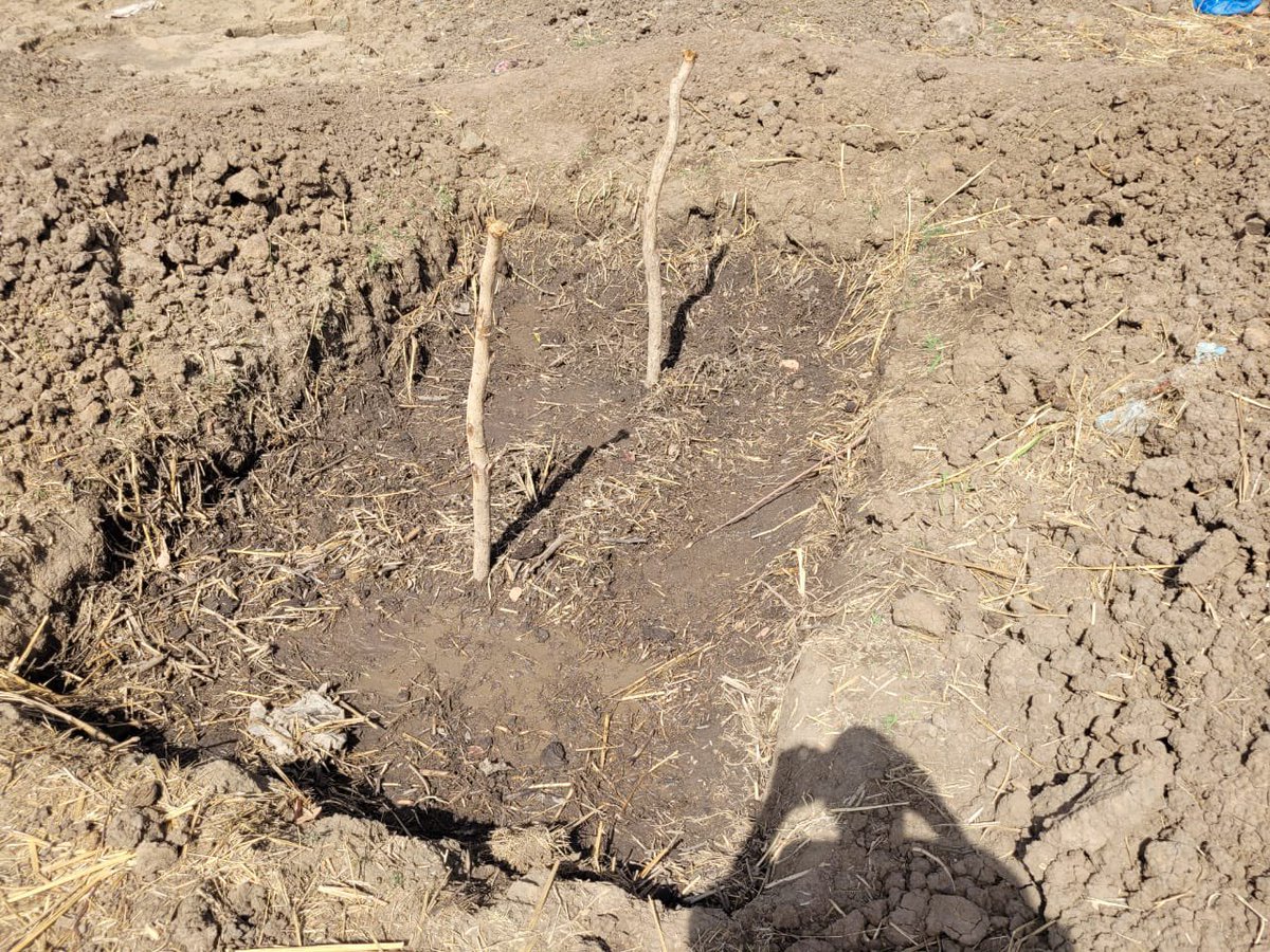 FIDAfriqueOuest's tweet image. Une mission du Programme #Sahel en réponse aux défis #COVID19 conflits et changements climatiques #Sd3C en visite à Sirimoulou au #Mali où des bénéficiaires ont réalisé des fosses à  compost et installé des cordons pierreux pour réduire les effets néfastes du ruissellement.