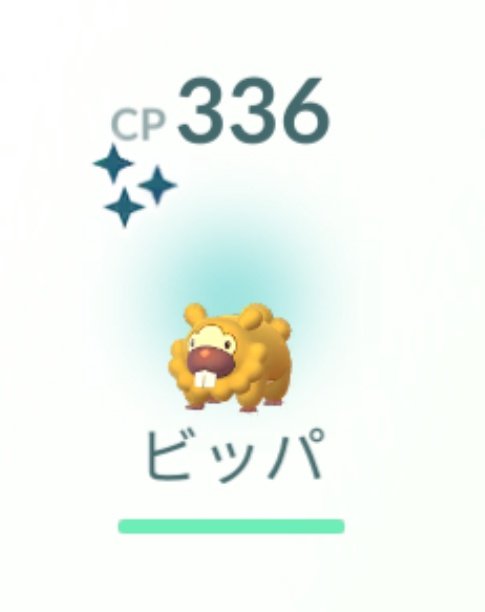 ScrollLockEnter's tweet photo. ひっさしぶりに色違い✨
色違いビッパきたー！
#色違い #色違いポケモン https://t.co/iWnTuXPJbM
