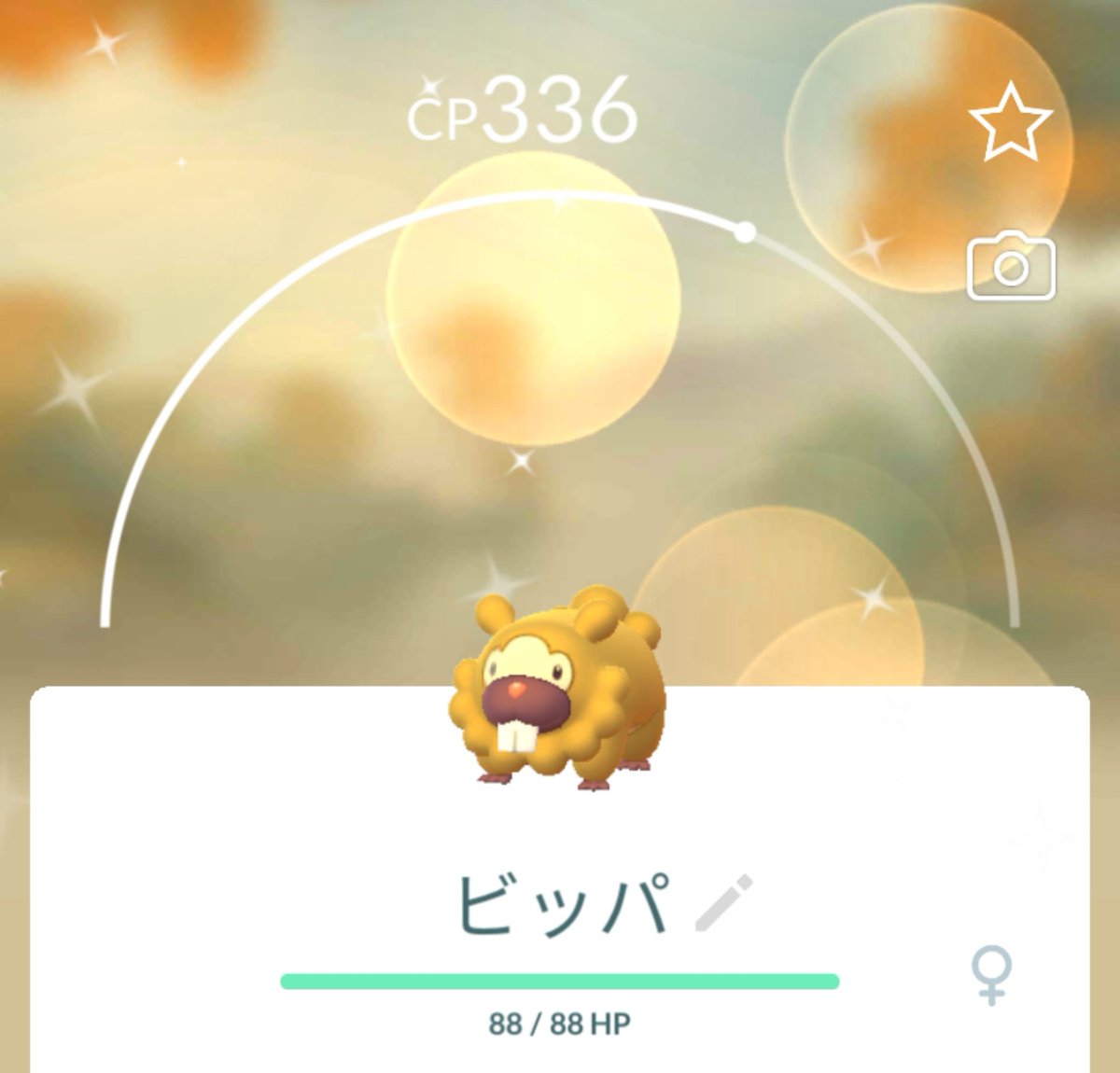 ScrollLockEnter's tweet photo. ひっさしぶりに色違い✨
色違いビッパきたー！
#色違い #色違いポケモン https://t.co/iWnTuXPJbM