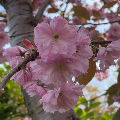 DominicDuss's tweet photo. #NeuesProfilbild https://t.co/GIylSMmUkt