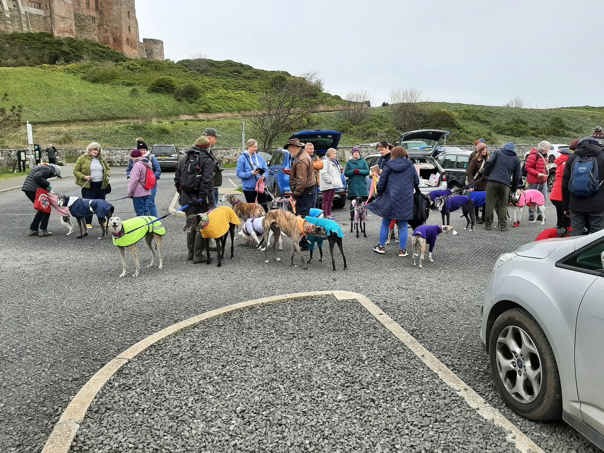 Kennomeat's tweet photo. Time for a dog walk #Bamburugh #houndsoftwitter https://t.co/zRGX0VQvPY