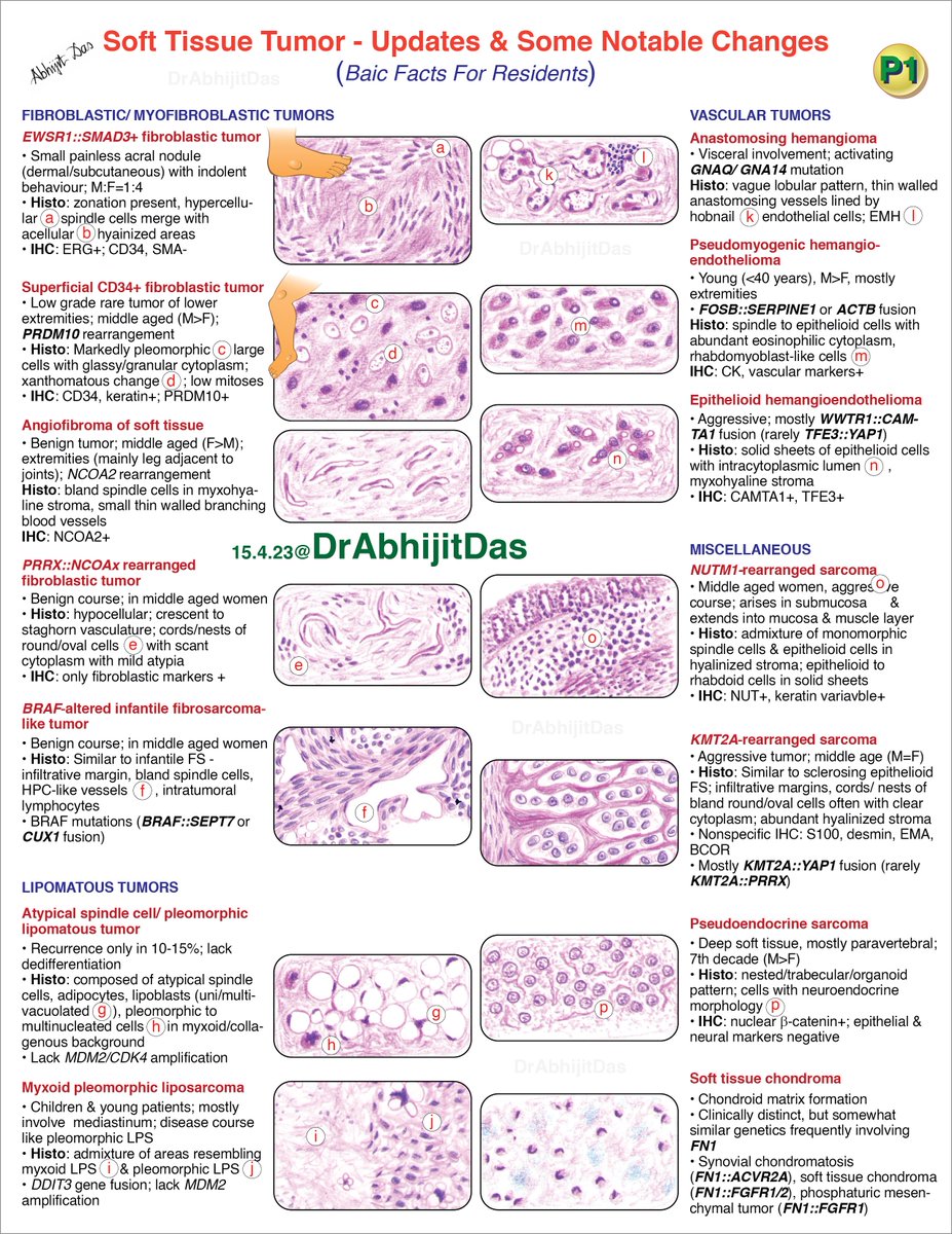 Soft tissue tumors –updates&amp; notable changes: Basic facts for residents (Part 1)

#MakeSurgiPathEasy 
#SoftTissueTumorPart1