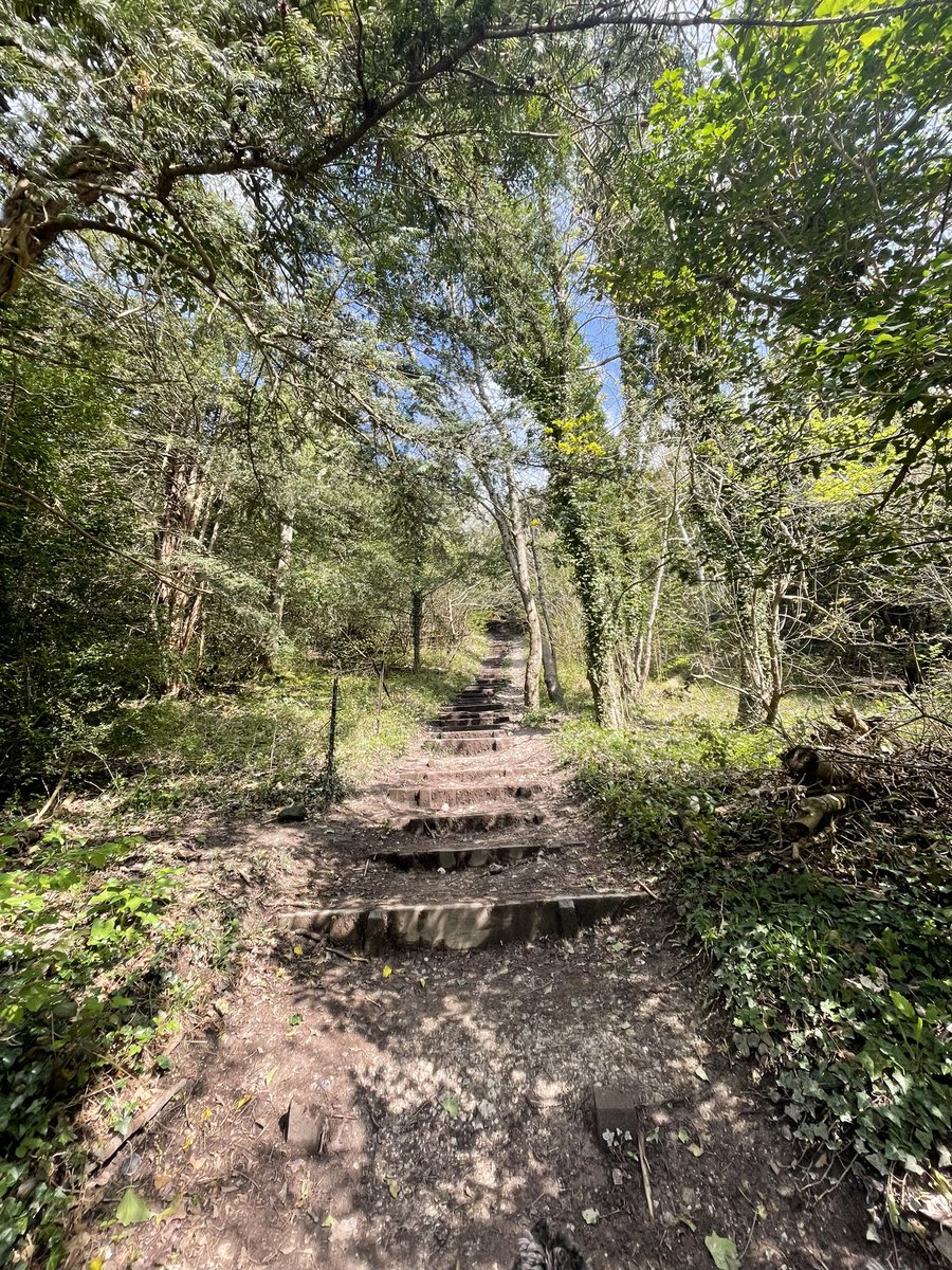 Whiffenpuff's tweet photo. Let’s post one of those IYKYK tweets 🙄
Because they aren’t as irritating as genital warts 🥴.
However #LoveSteps
#BoxhillHike https://t.co/vvJvM59foO