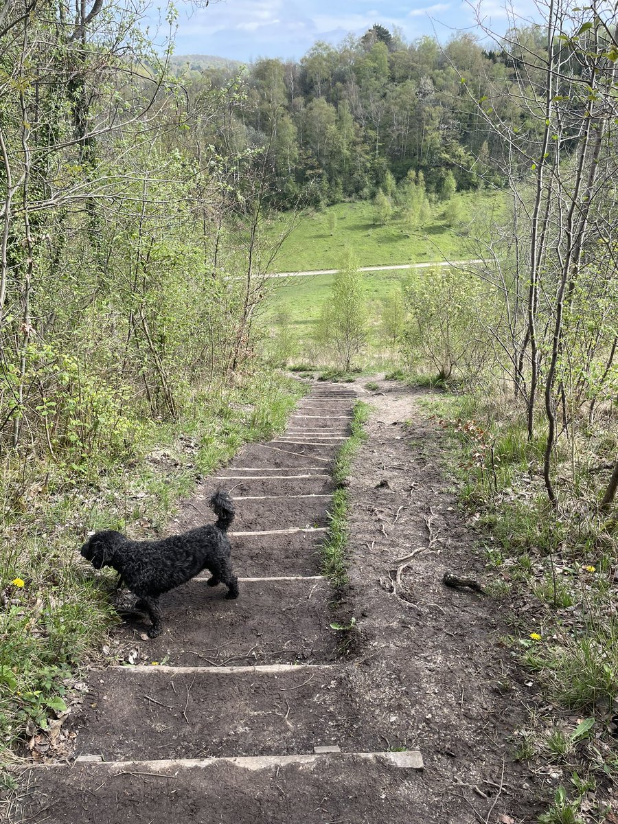 Whiffenpuff's tweet photo. Let’s post one of those IYKYK tweets 🙄
Because they aren’t as irritating as genital warts 🥴.
However #LoveSteps
#BoxhillHike https://t.co/vvJvM59foO