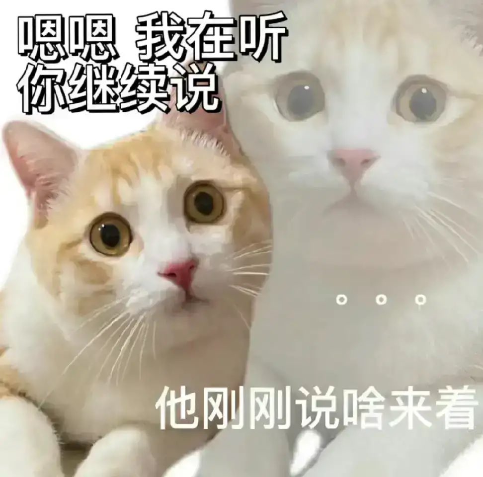 MMliliya's tweet photo. 上线了 #原味 #原味内衣 #原味贩卖 https://t.co/2QFAUq9q33
