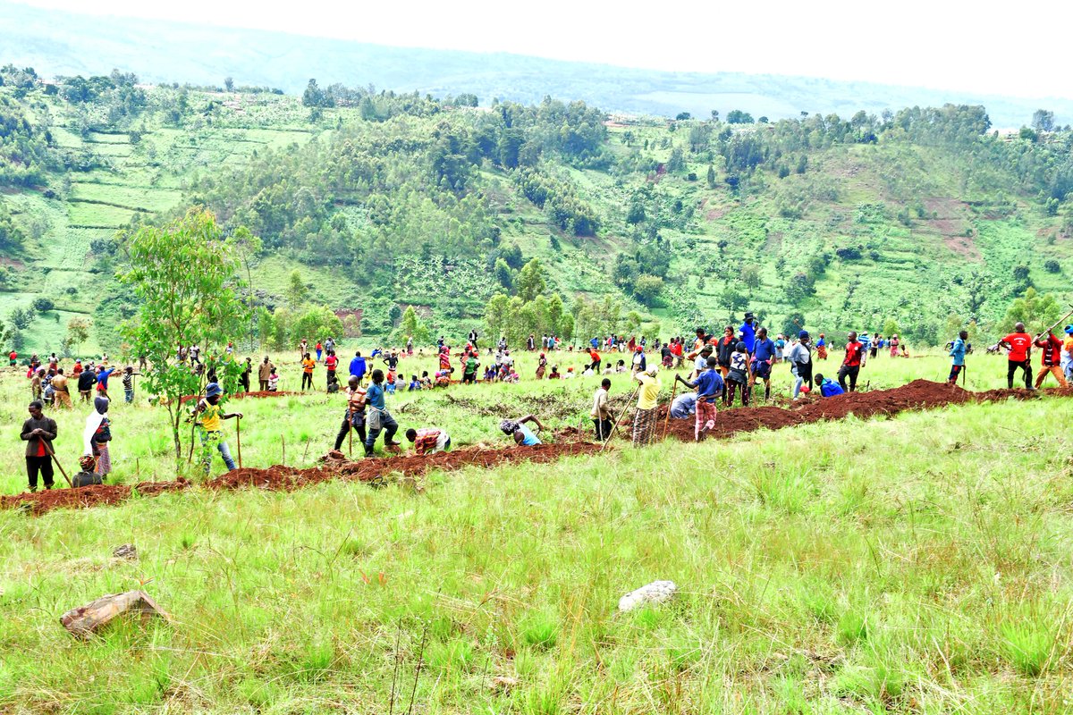 #Umuganda:Umuyobozi w’Akarere @NIYONAGIRANath2 n'abagize inzego z'umutekano bifatanyije n’abatuye umudugudu #Nyagasozi,Akagari k'Akaziba,Umurenge @karembo_sector mu muganda #Mata2023 wibanze kugucukura imirwanyasuri kuri Ha5 murwego rwo gufata amazi yangiza imirima y'abaturage.