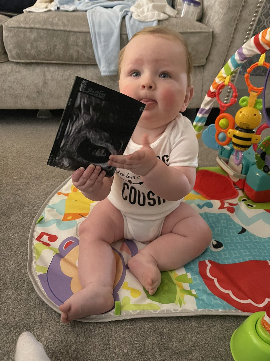 4njM95's tweet photo. Baby Foster coming soon 🌈🫶🏻 https://t.co/0L44RlvZxd