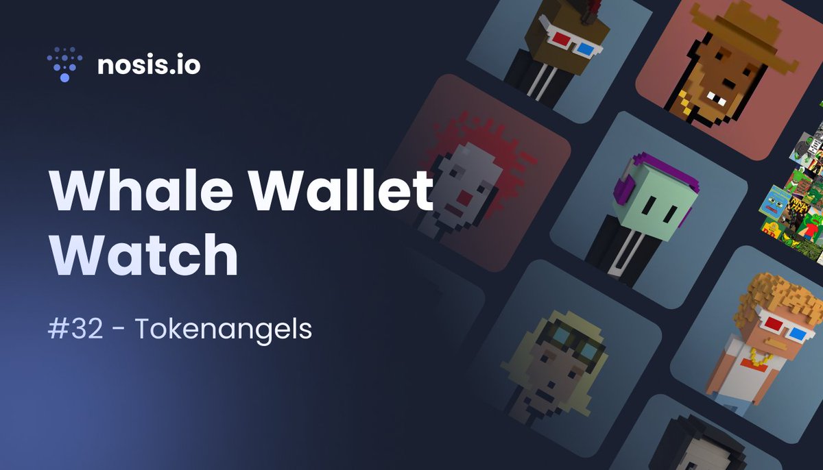 nosis_io's tweet photo. #WhaleWalletWatch #32 🐳
 
🤖 NFT Whale: #Tokenangels

1. Copy the wallet code below
2. Add it to your #Nosis Dashboard under '+Connections'
3. Wait for the assets to import 
4. Enjoy the show!

0x78f0269f5b1ca914c8c58993f41181f89e212b27

#NFT #Crypto #Ethereum #OpenSea https://t.co/eC6yQwuhEi