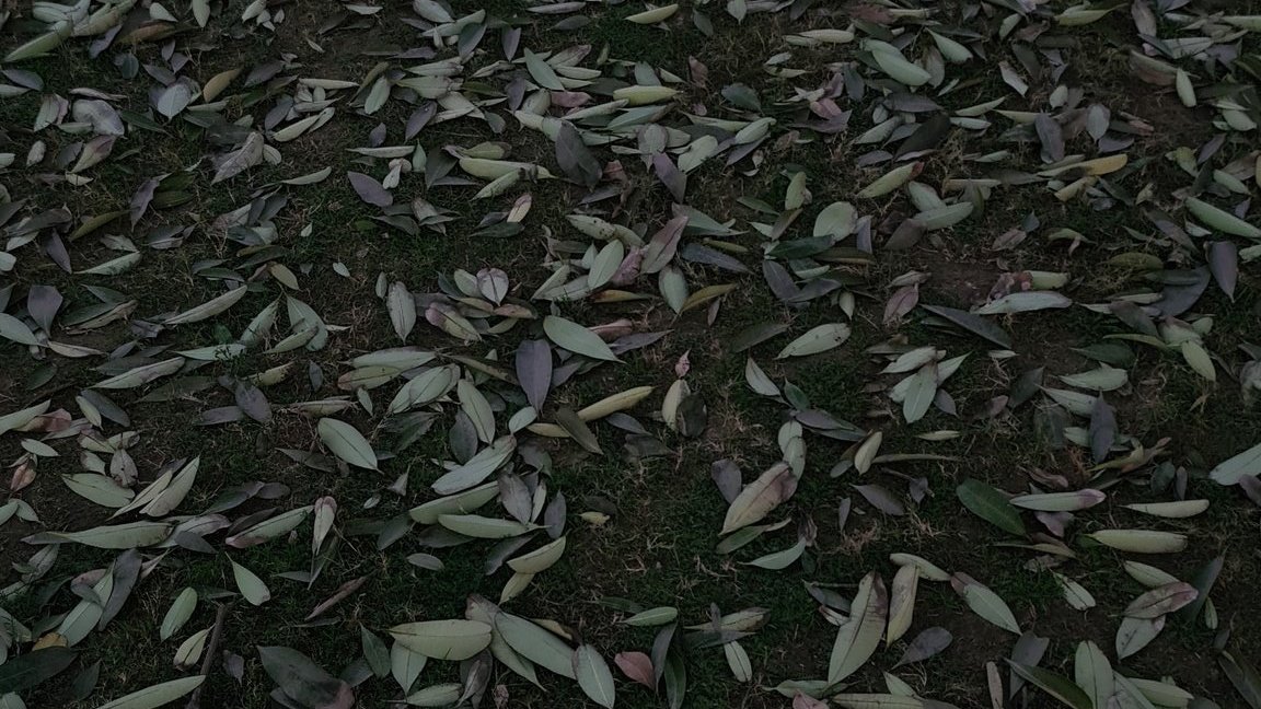 RakshaSingh_'s tweet photo. When we are loved, 
We should feel 🆓
To be ourselves.
To be vulnerable. 
To be transparent. 
To just be. https://t.co/G1mJhdZXvm
